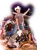 Combo Mechanical Bull and Mechanical Surfboard Rental for $528